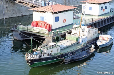 SALCENI 5