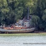 Salupa Fluviala de Remorcare si Salvare (SFRS) 597