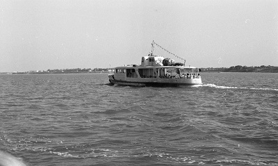 STELUTA
